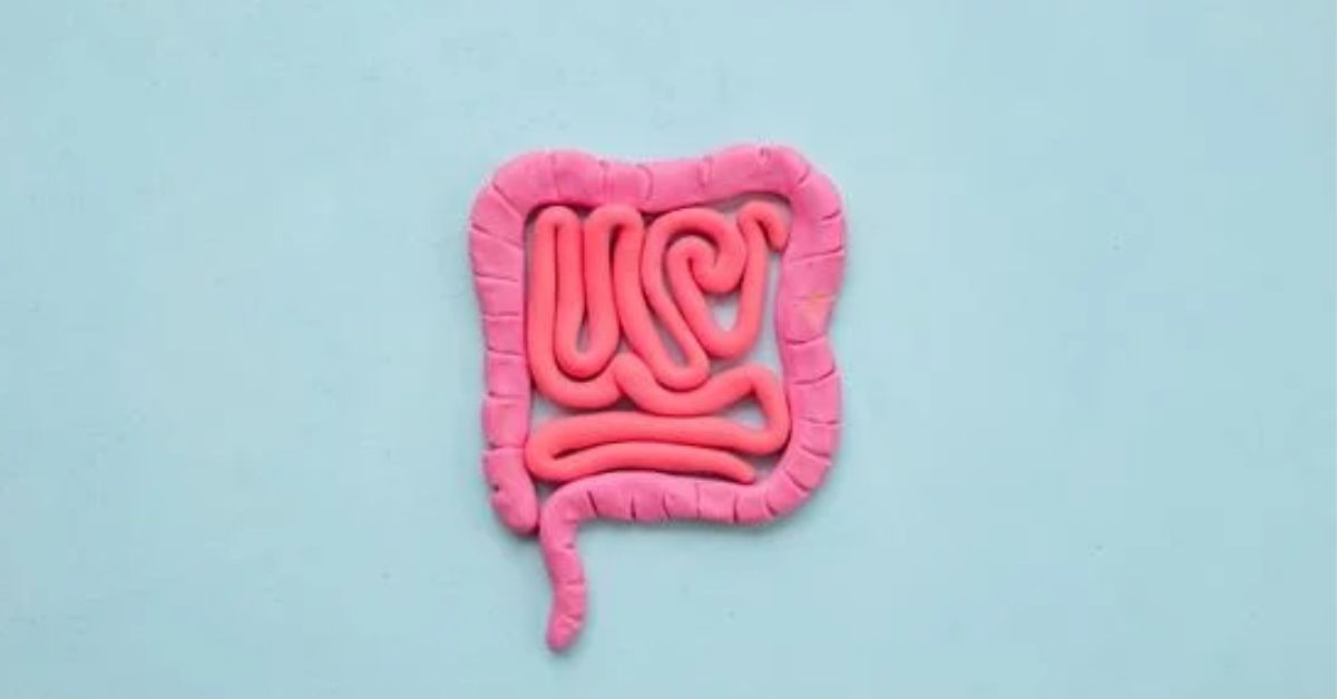 Read more about the article Ayurvedic treatment for Colon Cancer in Mumbai, Navi Mumbai & Thane